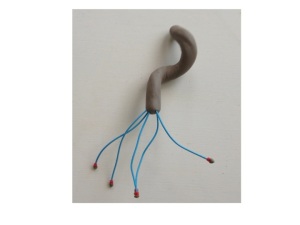 model of helicobacter showing corkscrew shape and long flagellae