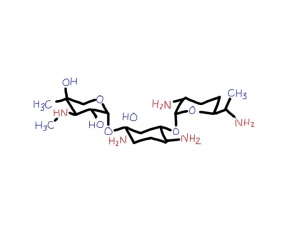 gentamicin is a relatively small molecule with three sugar groups and lots of amine groups (in red) - an aminoglycoside