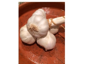 garlic has its characteristic odour because it contains the molecule allicin, which helps protect it from bacteria and insects which want to eat it