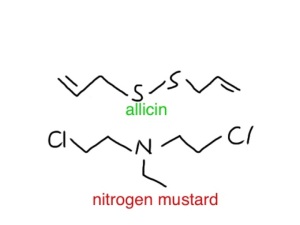 allicin and nitrogen mustard have a similar molecular shape - which is maybe why they have a similar smell