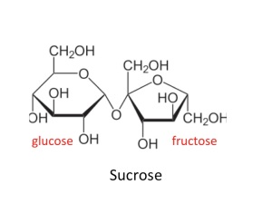 sucrose is a disaccharide of glucose and fructose